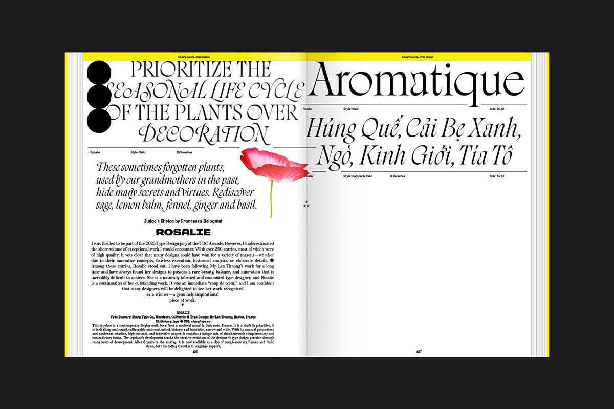 The World’s Best Typography, Typography 46
